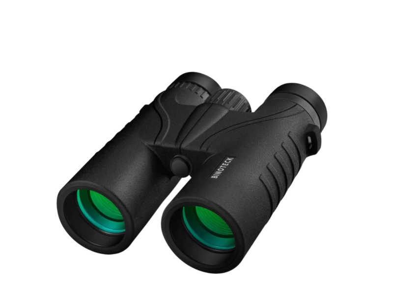 Lens and binoculars