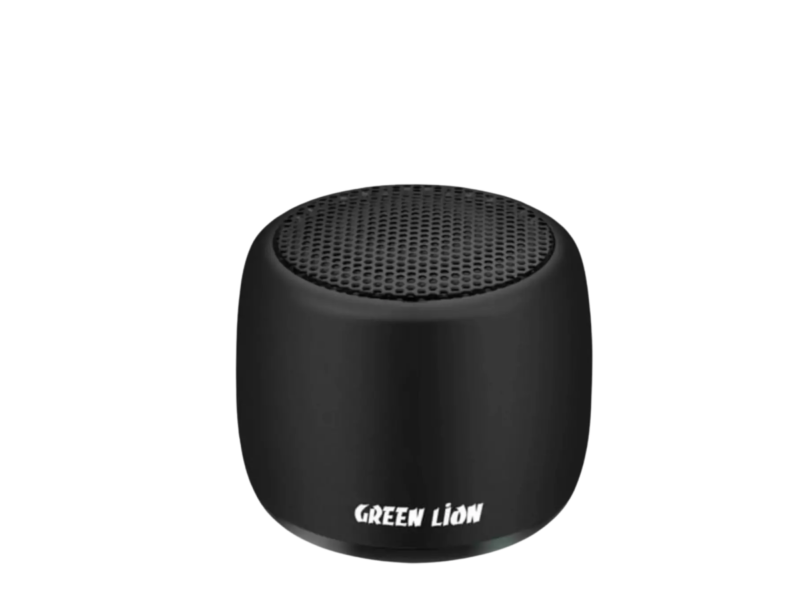 green lion classic stereo speaker